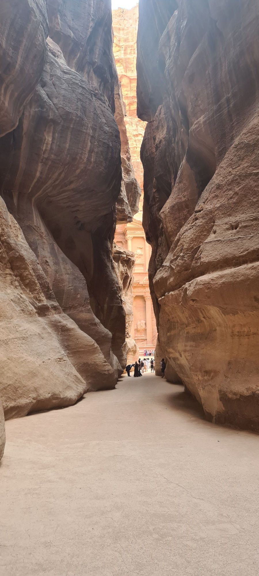 wadi rum day trip from petra